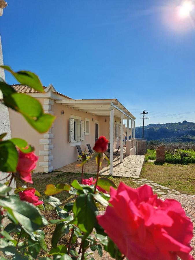 Vasilopoulos Estate Koróni Kültér fotó